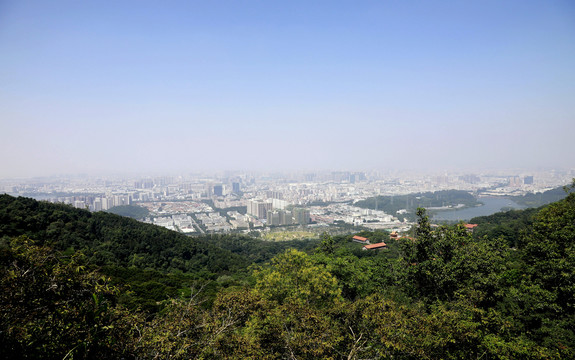 福永凤凰山上