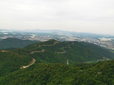 羊台山