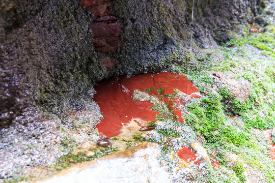 河南焦作云台山红石峡岩石特写