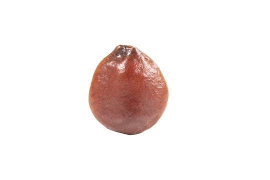酸枣仁