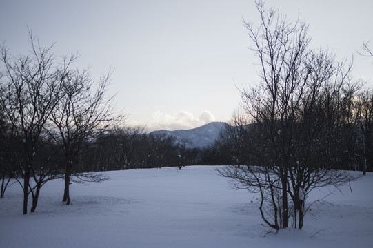 下雪天