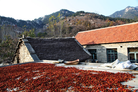 记住乡愁