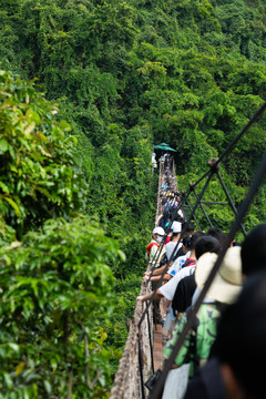 三亚亚龙湾热带森林公园吊桥