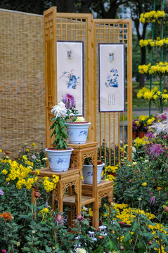 菊花展布景