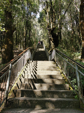 爬山登山石台阶