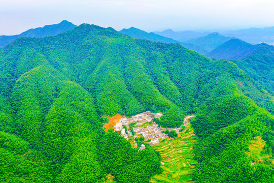 木坑竹海