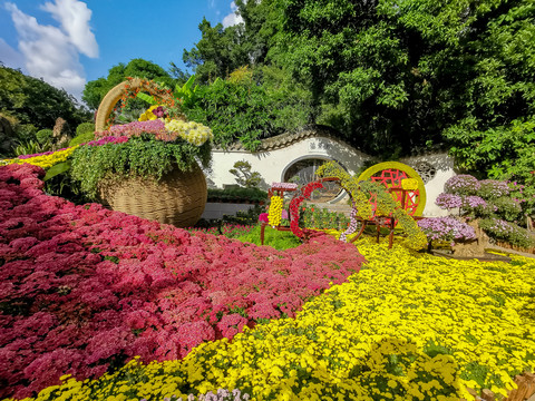 西湖公园菊展花篮造型