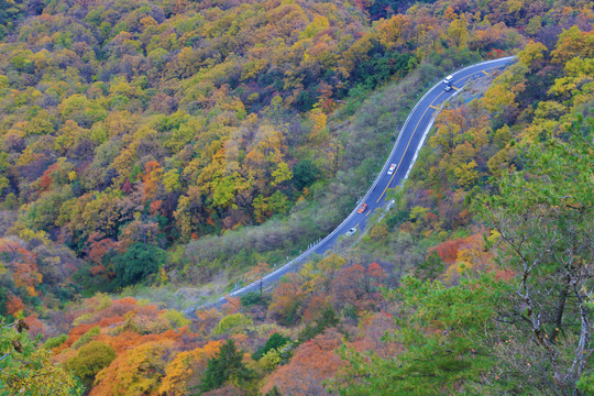 山路弯弯