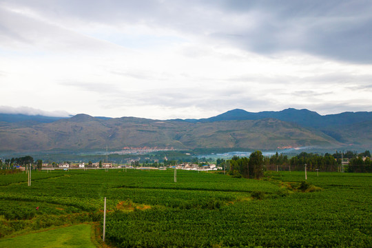 香格里拉