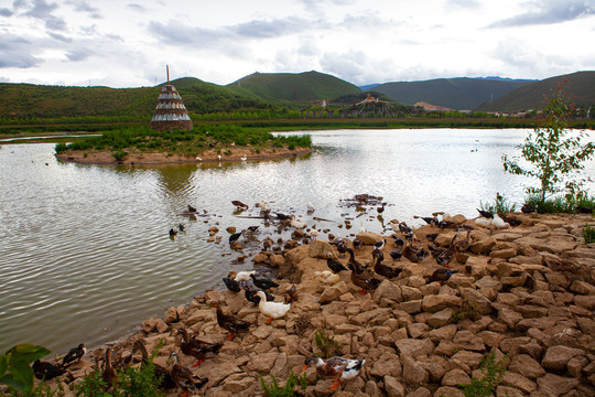 松赞林寺湖景