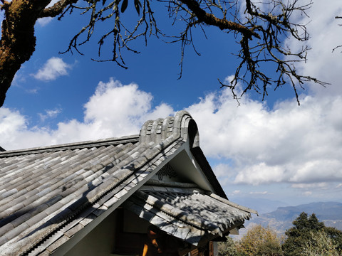 蓝天白云中式古建筑老树枯枝特写