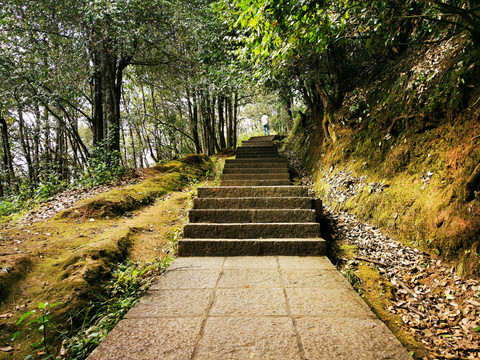 爬山登山森林公园