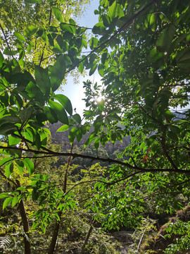 雁荡山