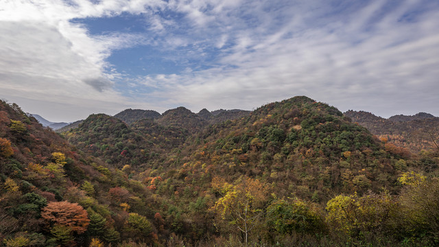 山林秋景