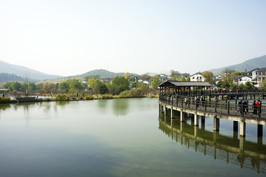 南京江宁石塘竹海