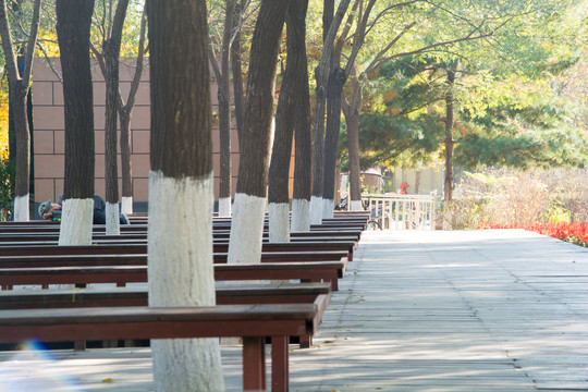 城市公园休息区
