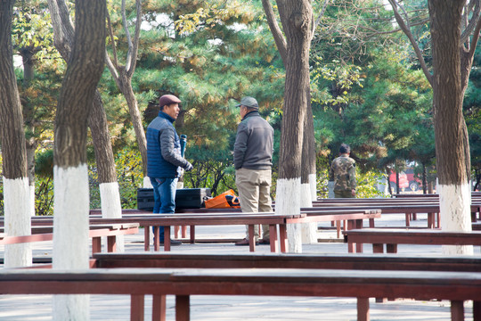 城市公园休息区