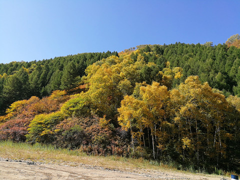 风景