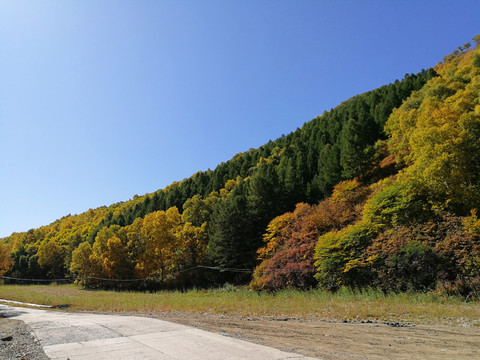 风景