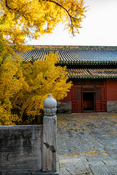 大觉寺