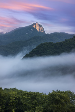 中国湖北神农架大九湖湿地公园