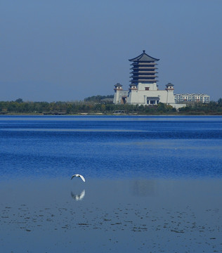 大汶河风光秋色