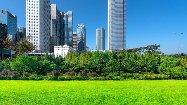 深圳城市风景