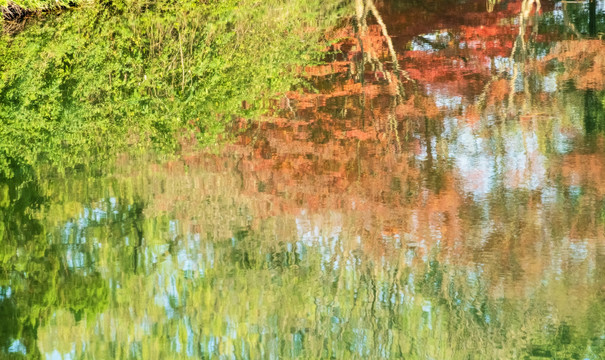 自然风景