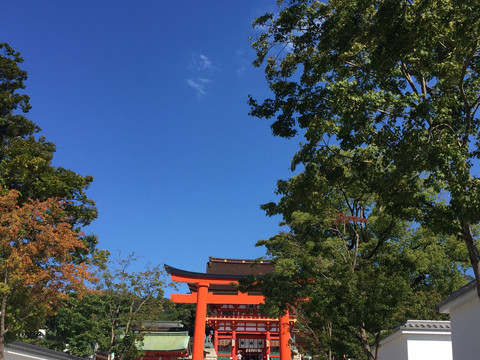 日本京都神社伏见稻荷大社