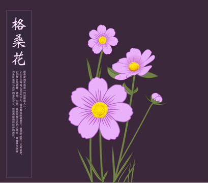 格桑花