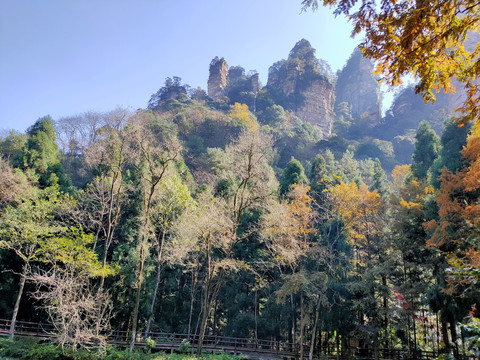 张家界国家森林公园