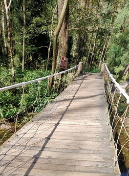 张家界国家森林公园金鞭溪浪桥