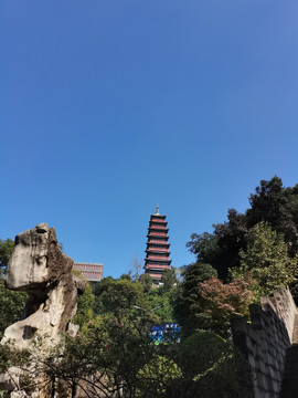 公园内景眺望宝塔