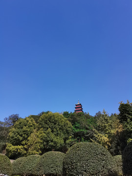公园内景眺望宝塔