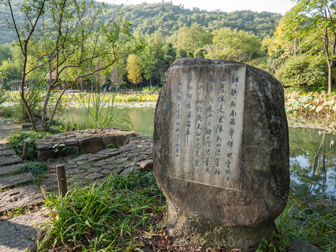 八卦田风光