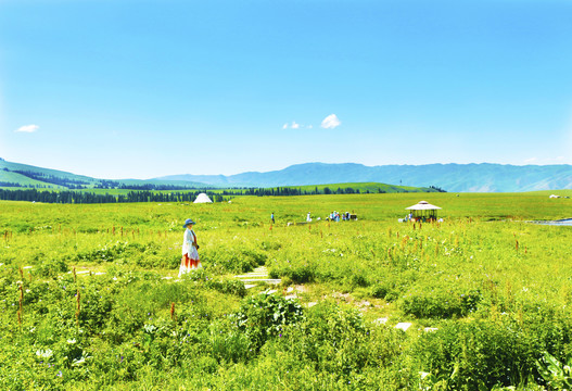 原野