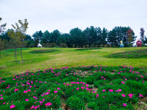 鲜花草地