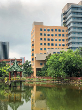 国立台湾大学