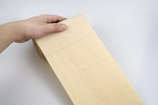 竹浆卷纸