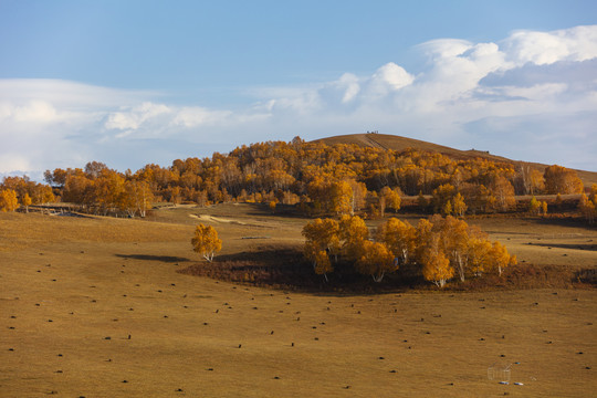 乌兰布统草原的秋天