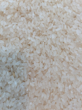 大米