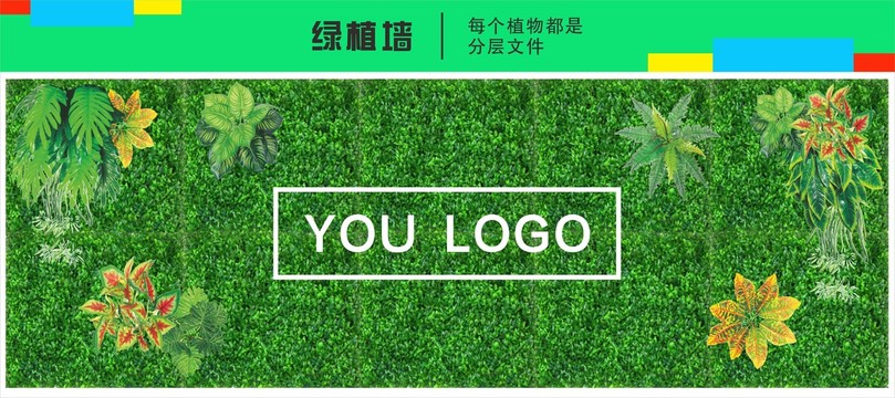 绿植墙