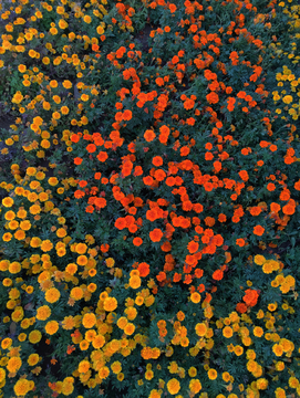 春暖花开