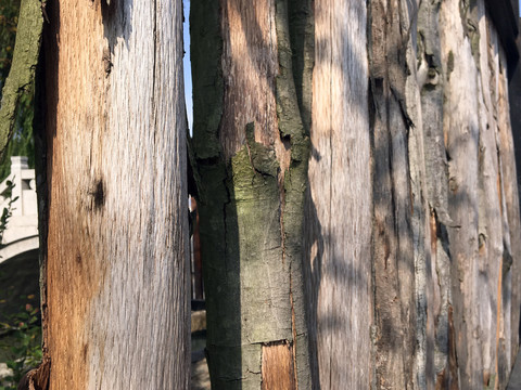 树木栏杆