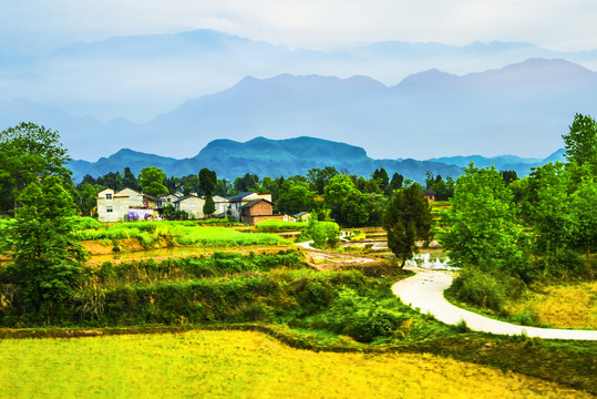 乡村风景