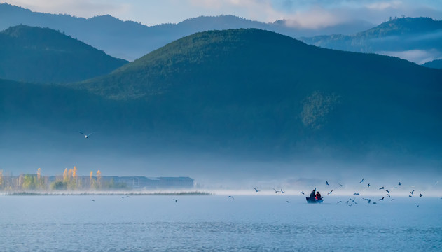 泸沽湖海鸥游船