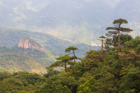 三清山奇峰怪石14