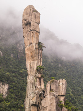 上饶三清山国家级旅游风景区