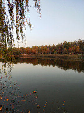 黄昏秋湖