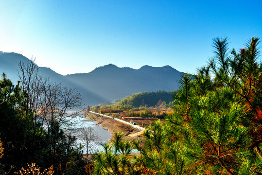 小川藏宁国红杉林